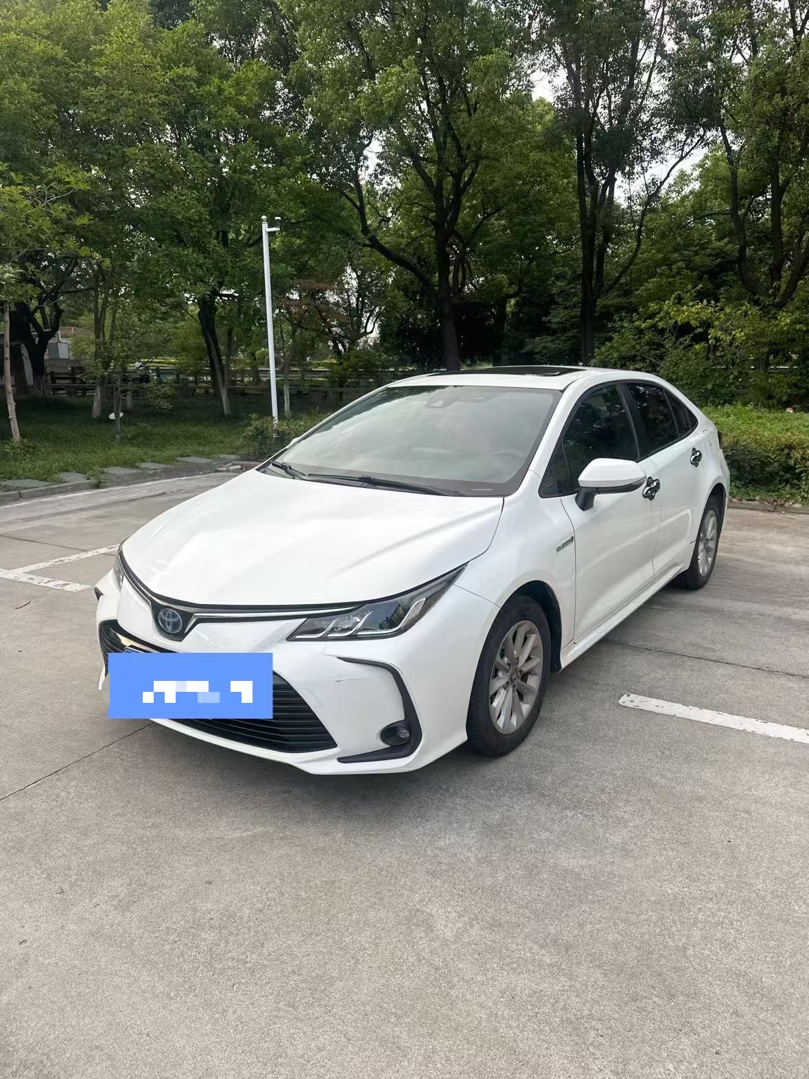 Toyota Corolla 2019 Toyota Corolla 2019 car image