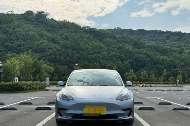 Tesla Model 3 2022 #4 Tesla Model 3 2022 car image #4