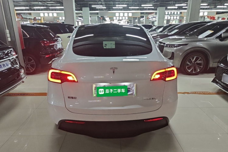 Tesla Model Y 2023 car image #6