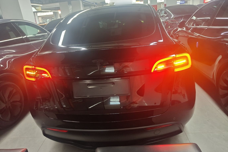 Tesla Model Y 2023 car image #6
