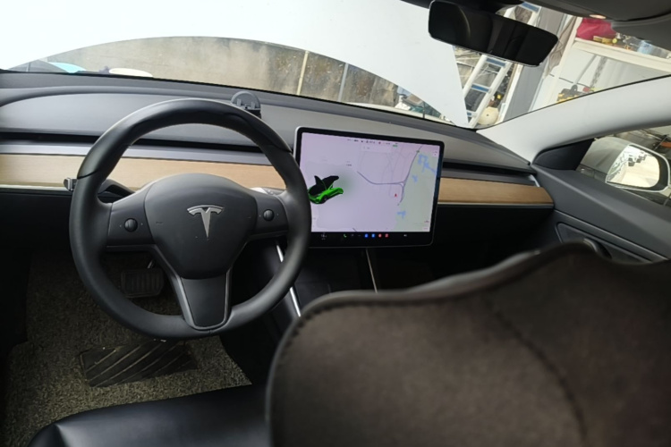Tesla Model 3 2020 car image #10