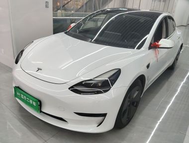 Tesla Model 3 2021 immagine di auto 