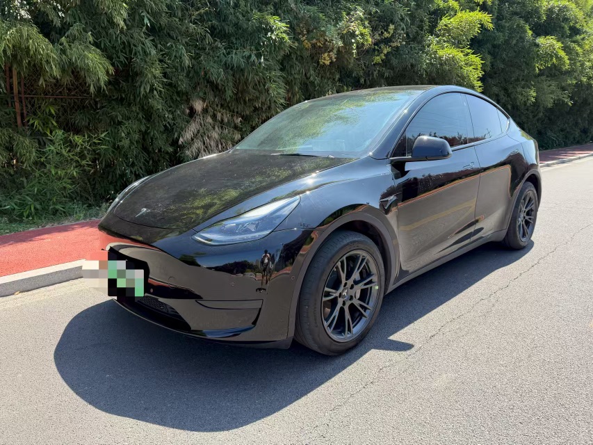Tesla Model Y 2024 Tesla Model Y 2024 car image