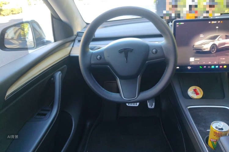 Tesla Model Y 2023 #12 Tesla Model Y 2023 car image #12