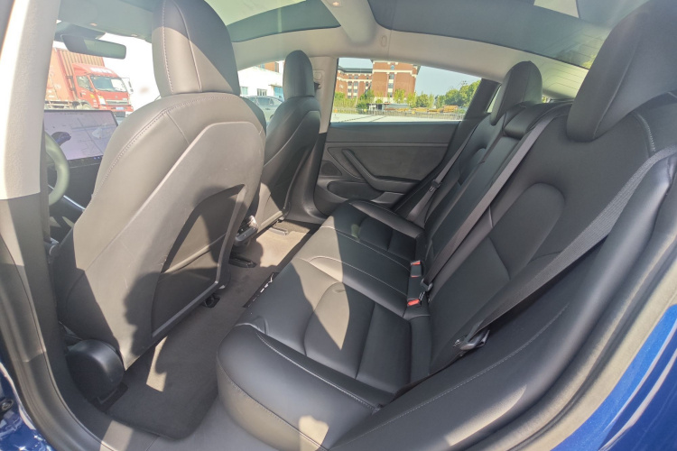Tesla Model 3 2020 car image #13
