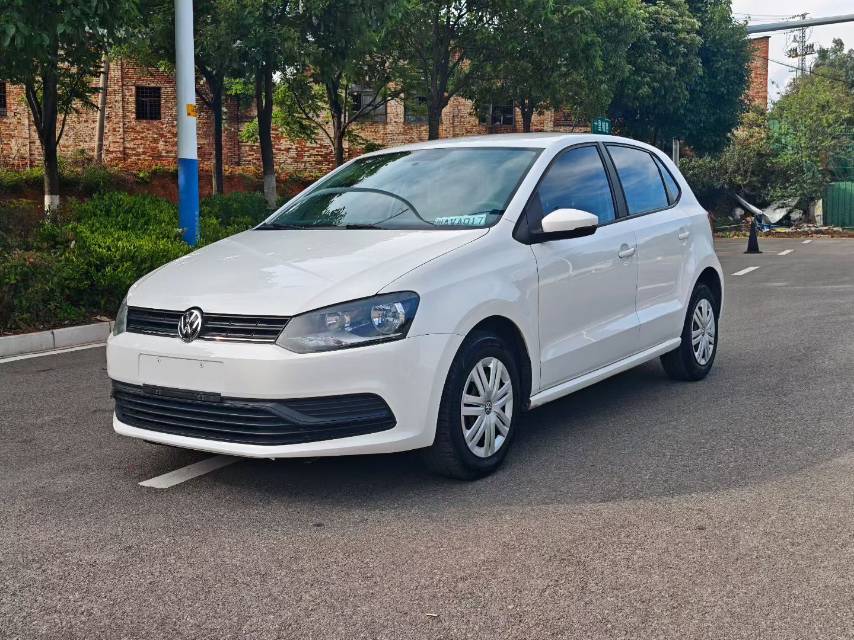 Volkswagen Polo 2014 car image 