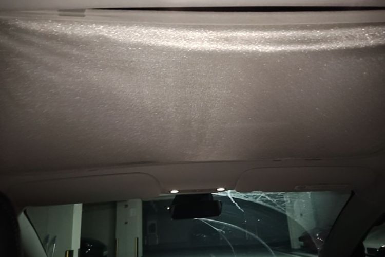 Tesla Model 3 2022 car image #19