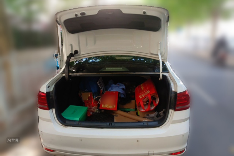 Volkswagen Lavida 2019 car image #21
