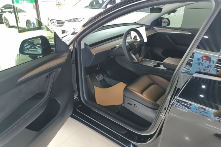 Tesla Model Y 2021 car image #12