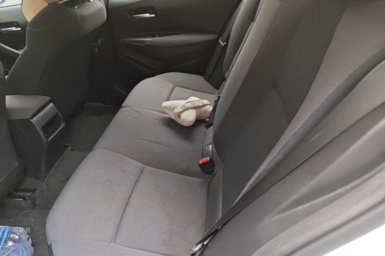 Toyota Corolla 2020 car image #19