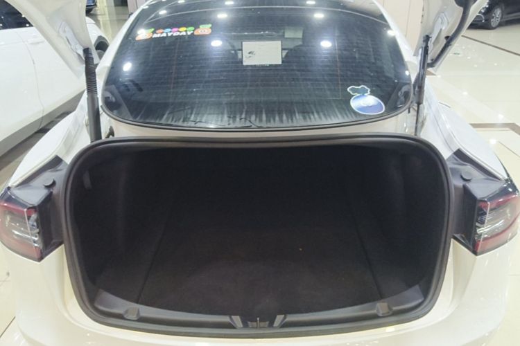 Tesla Model 3 2022 #21 Tesla Model 3 2022 immagine di auto #21