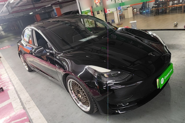 Tesla Model 3 2021 imagem de carro #4