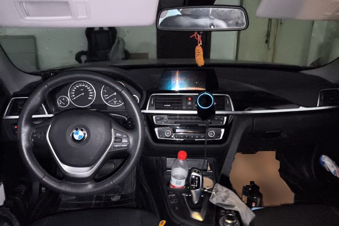 BMW 3 Series 2016 car image #21