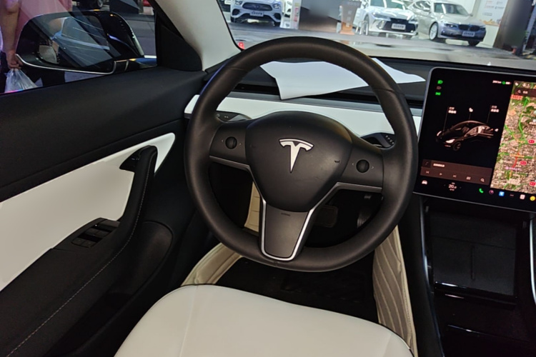 Tesla Model 3 2020 car image #11