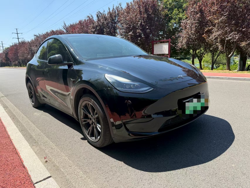 Tesla Model Y 2024 #2 Tesla Model Y 2024 car image #2