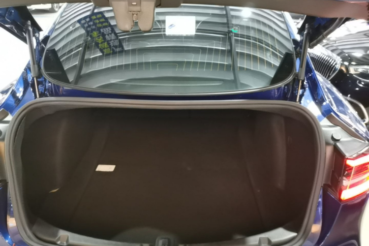 Tesla Model 3 2020 car image #19