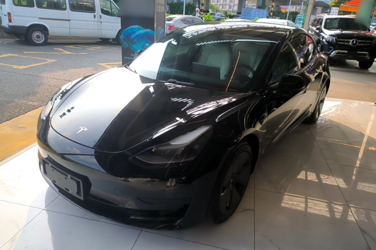 Tesla Model 3 2021 immagine di auto #2