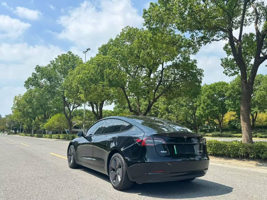 Tesla Model 3 2022 #8 Tesla Model 3 2022 car image #8