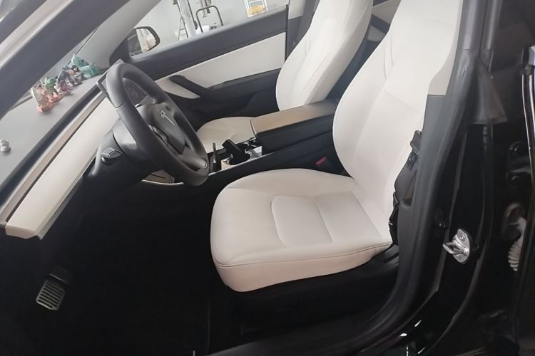 Tesla Model 3 2020 car image #15