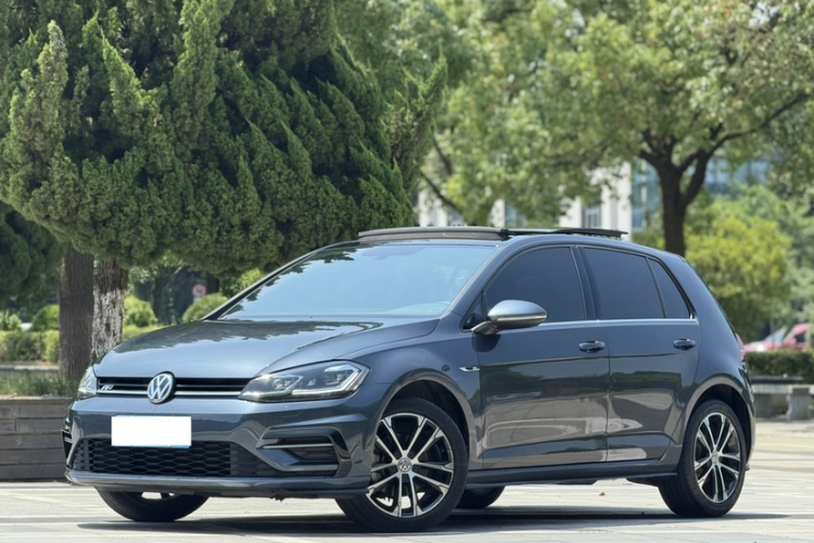 Volkswagen Golf 2019 car image #2