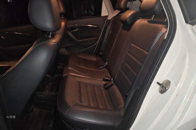 Volkswagen Polo 2016 car image #19
