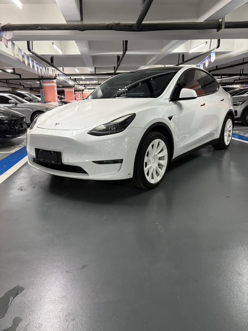 Tesla Model Y 2022 car image 