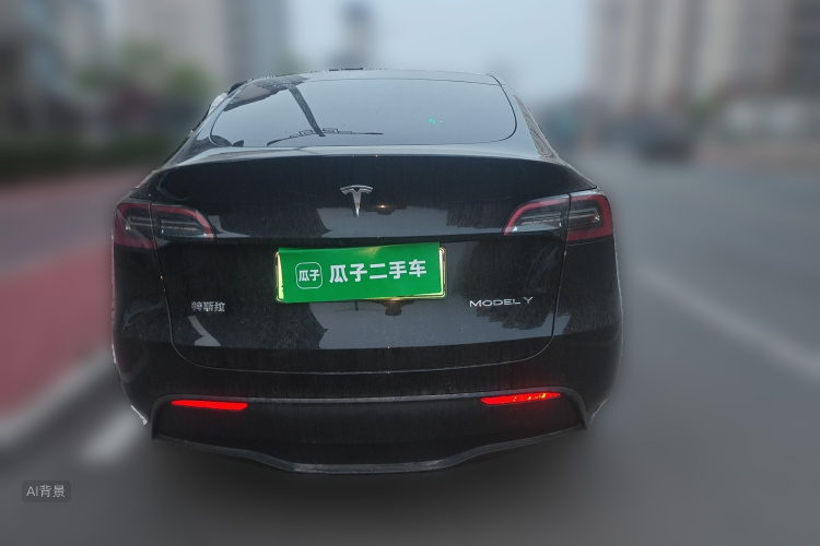 Tesla Model Y 2023 car image #6
