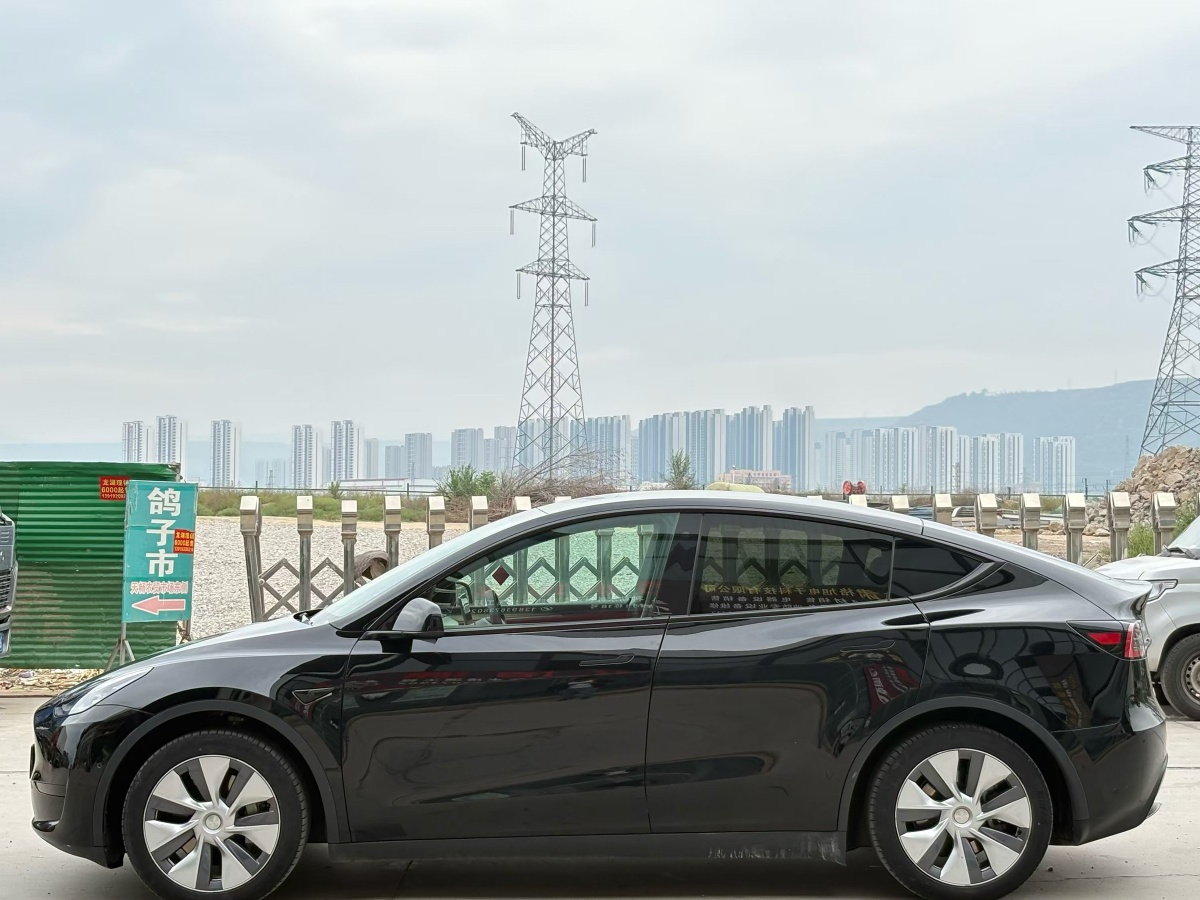 Tesla Model Y 2023 #4 Tesla Model Y 2023 car image #4