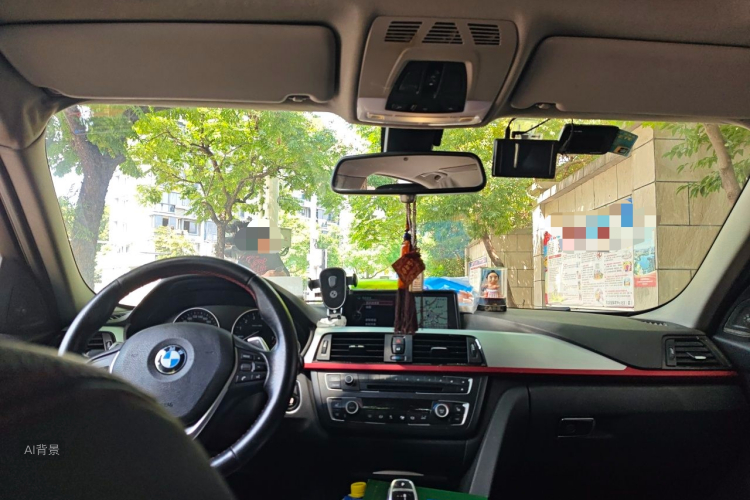 BMW 3 Series 2014 car image #20