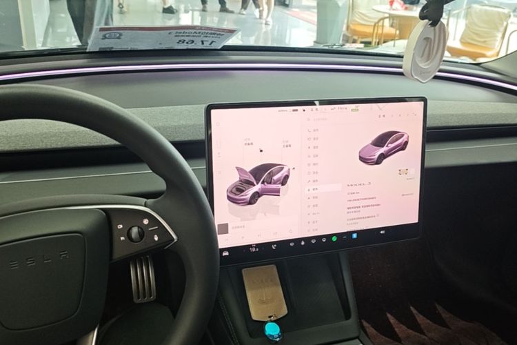 Tesla Model 3 2024 #10 Tesla Model 3 2024 car image #10