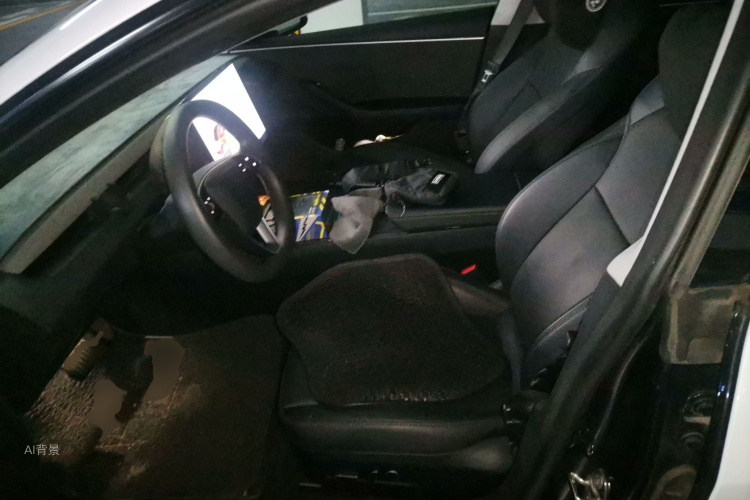 Tesla Model 3 2023 immagine di auto #17