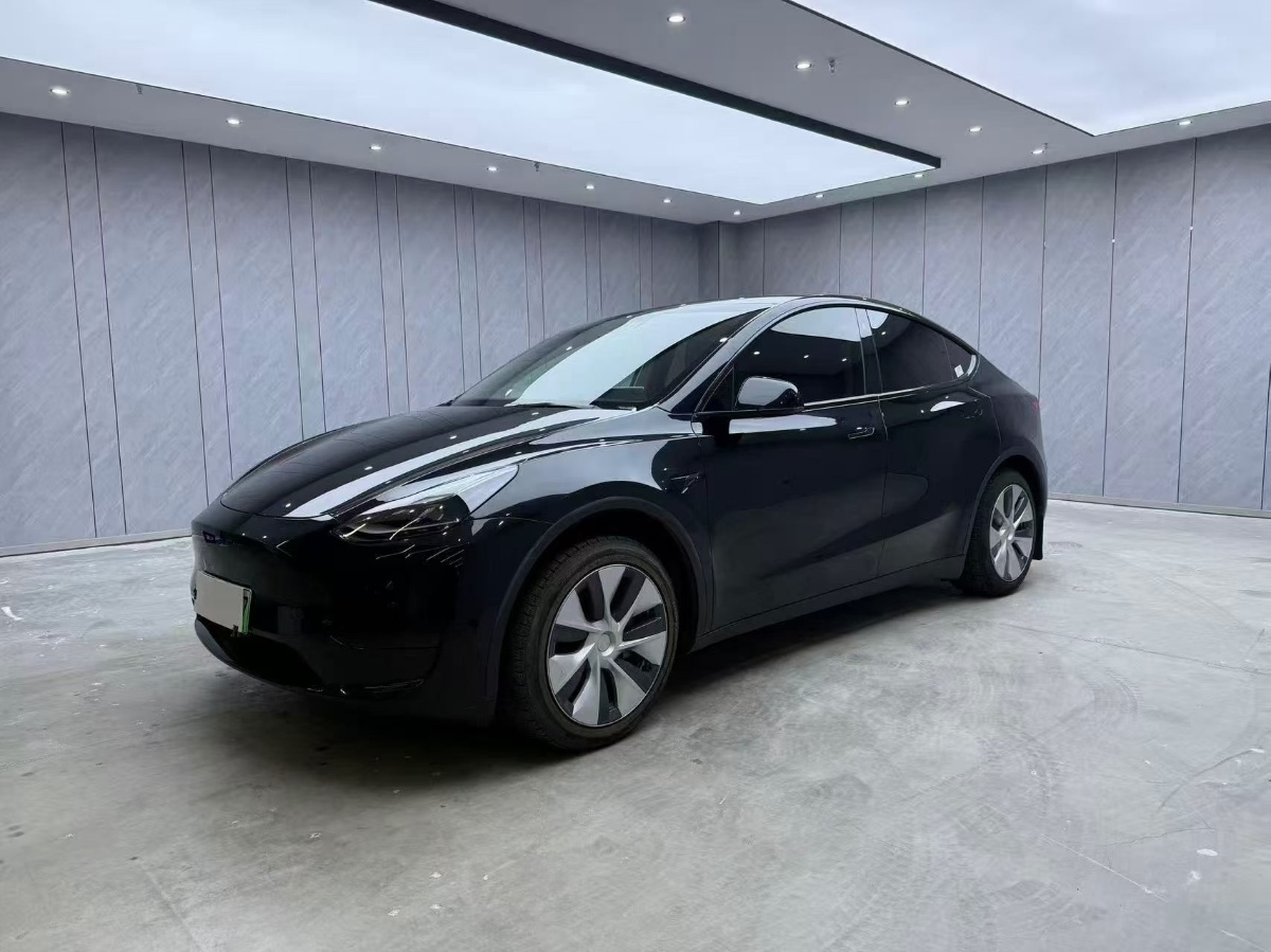 Tesla Model Y 2023 #3 Tesla Model Y 2023 car image #3