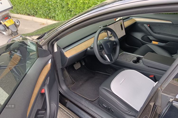 Tesla Model 3 2021 #18 Tesla Model 3 2021 car image #18
