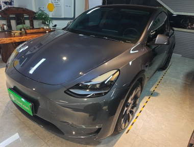 Tesla Model Y 2022 car image 