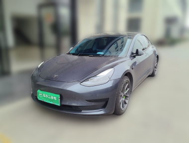 Tesla Model 3 2022 car image 