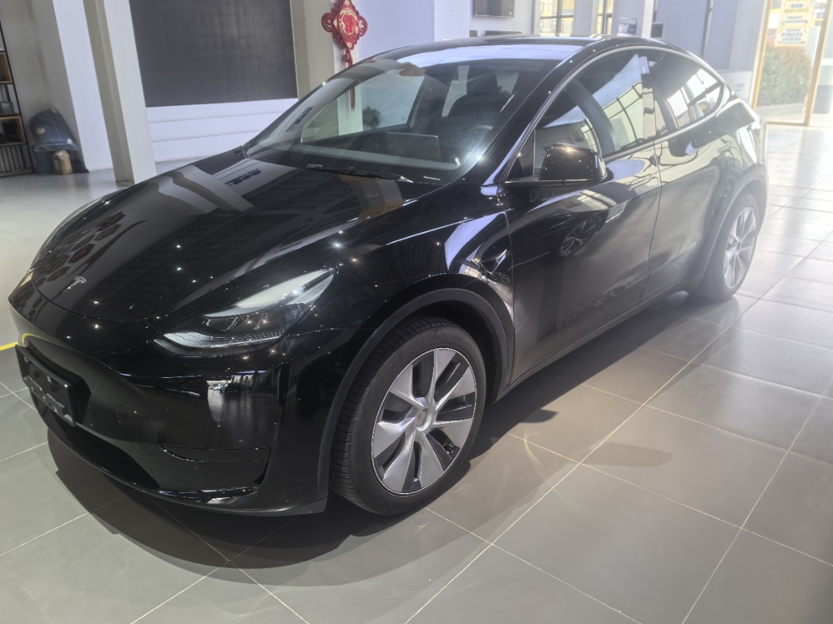 Tesla Model Y 2022 Tesla Model Y 2022 immagine di auto