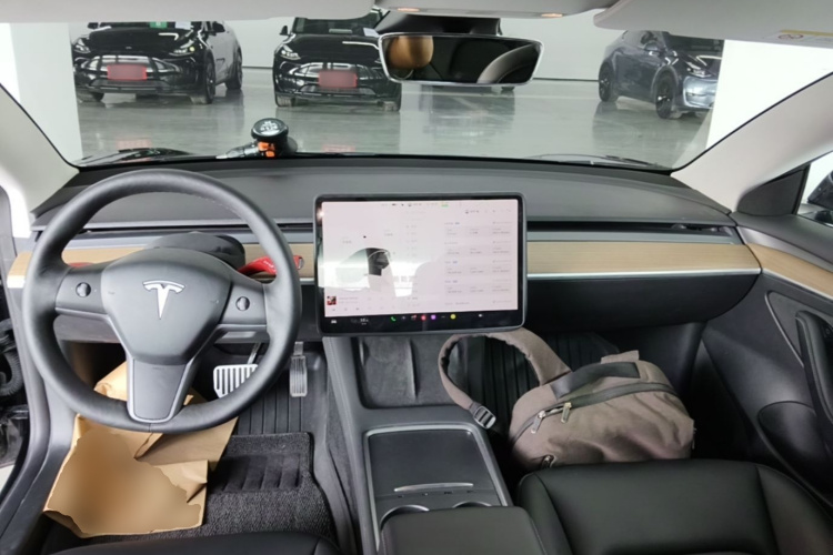 Tesla Model 3 2023 car image #10