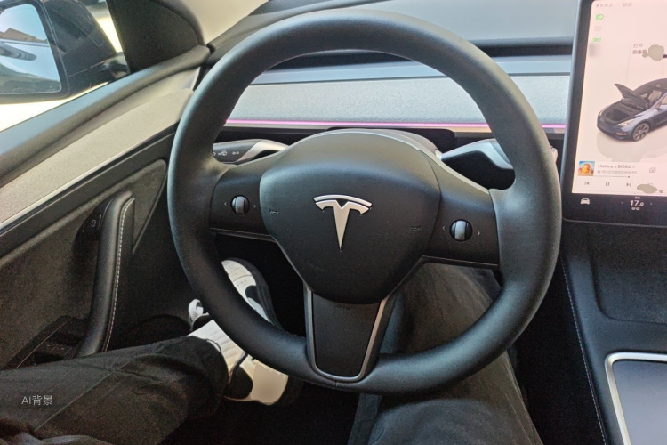 Tesla Model Y 2024 car image #12
