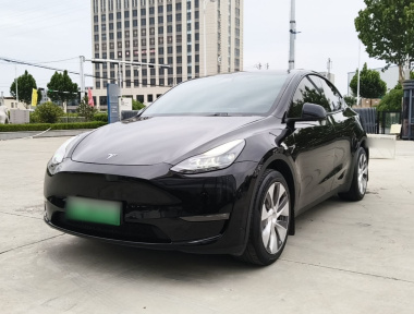 Tesla Model Y 2022 Tesla Model Y 2022 car image