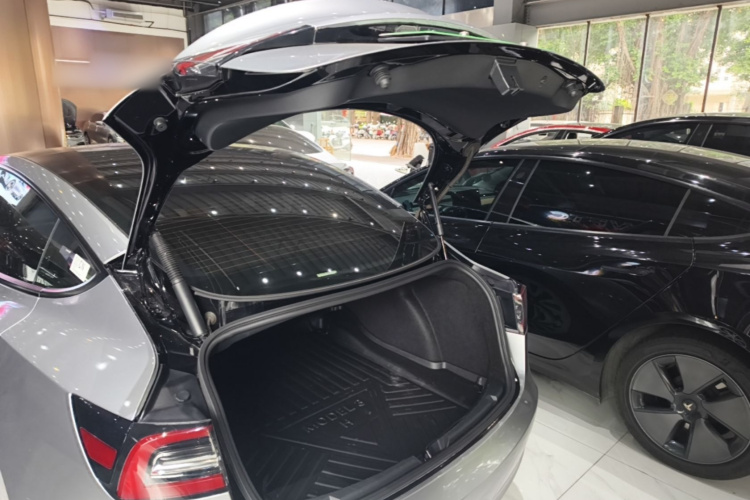 Tesla Model 3 2022 #19 Tesla Model 3 2022 car image #19