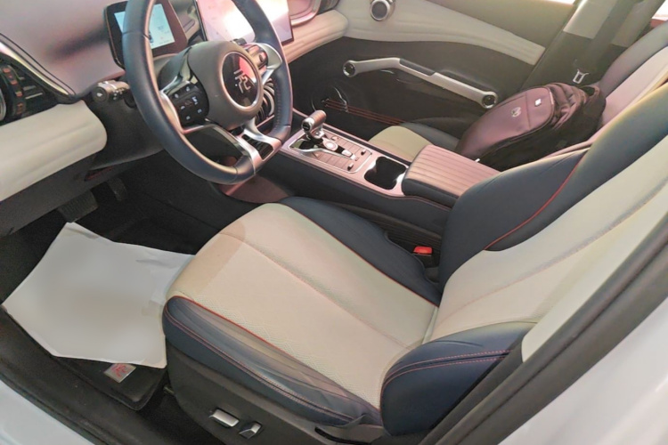 BYD Yuan Plus 2022 car image #19