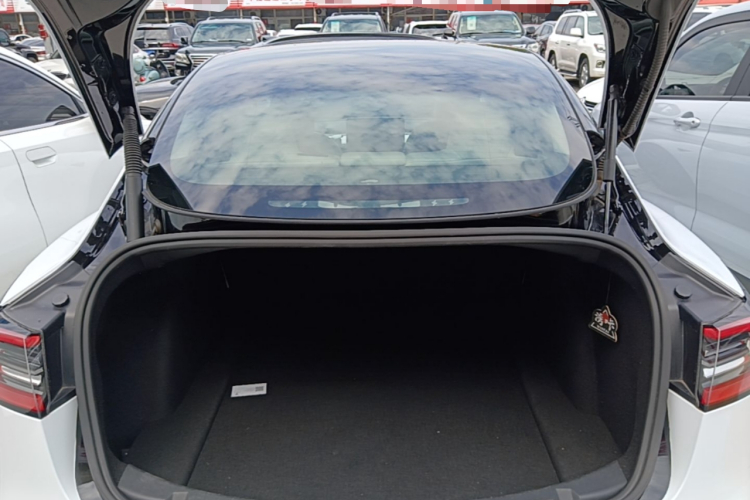 Tesla Model 3 2021 #19 Tesla Model 3 2021 car image #19