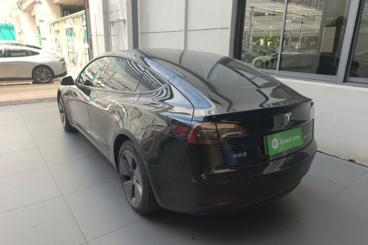 Tesla Model 3 2021 car image #7