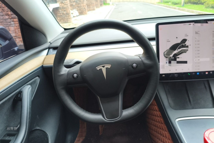 Tesla Model Y 2021 car image #12