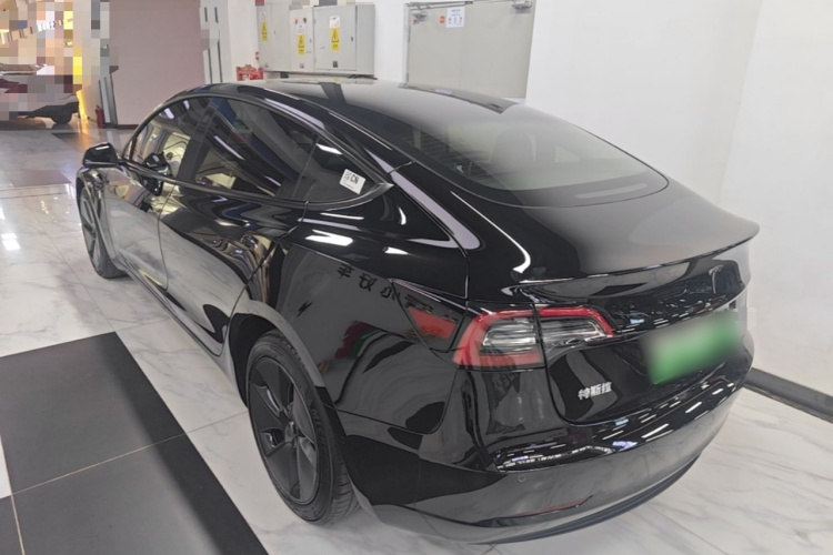 Tesla Model 3 2021 car image #5