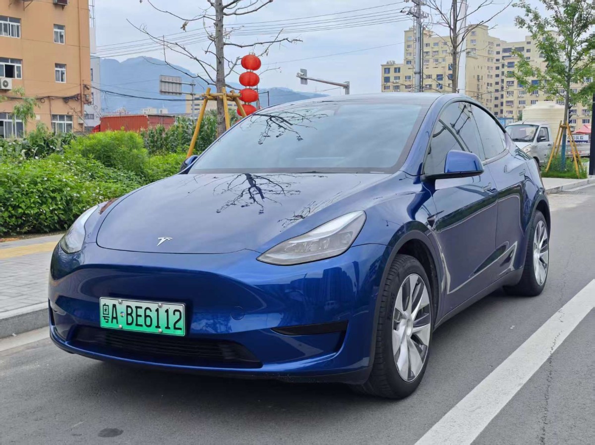 Tesla Model Y 2023 Tesla Model Y 2023 car image