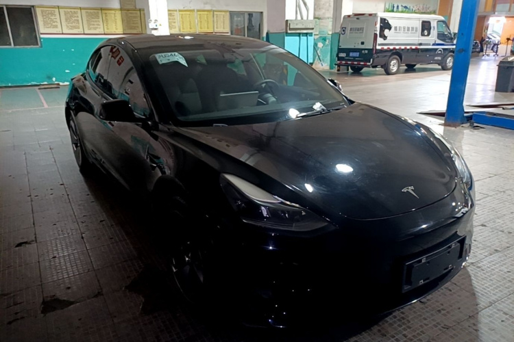 Tesla Model 3 2021 #6 Tesla Model 3 2021 car image #6