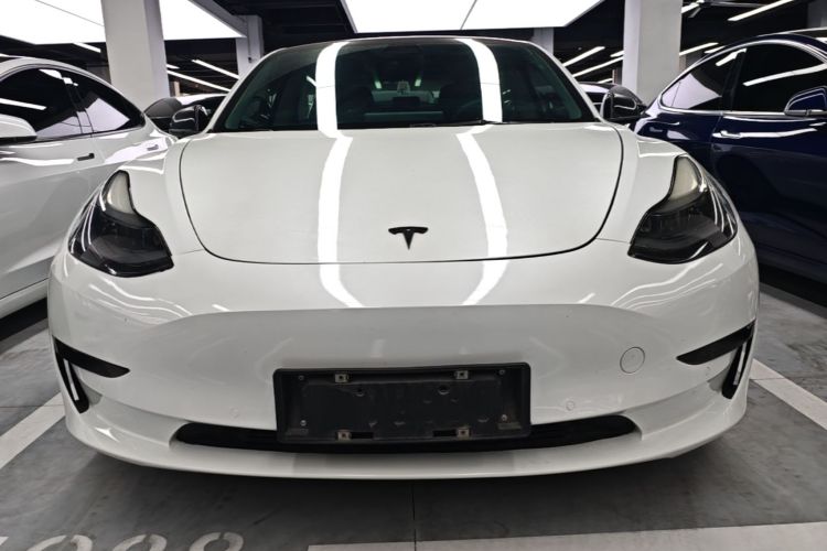 Tesla Model 3 2021 #3 Tesla Model 3 2021 car image #3