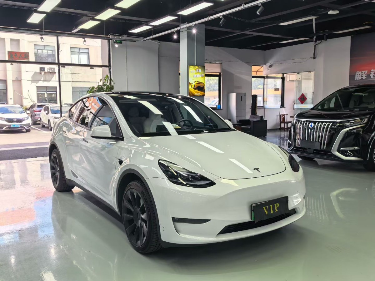 Tesla Model Y 2024 Tesla Model Y 2024 car image