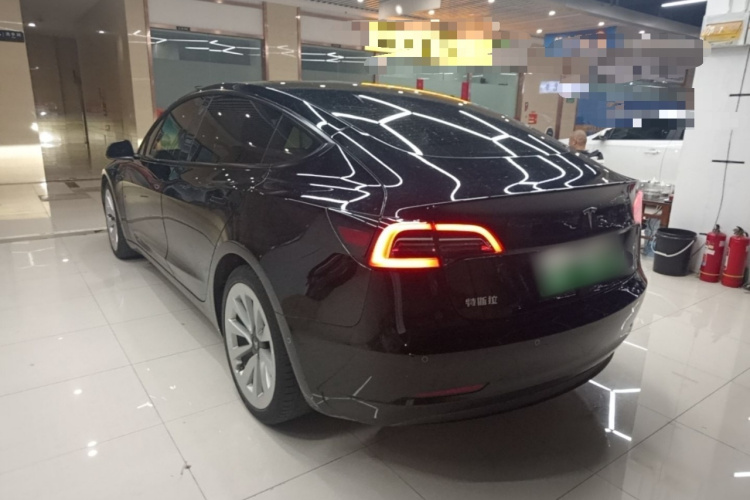 Tesla Model 3 2021 #7 Tesla Model 3 2021 car image #7